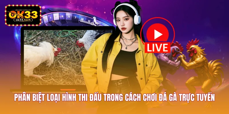 phan-biet-loai-hinh-thi-dau-trong-cach-choi-da-ga-truc-tuyen